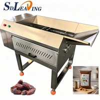 Volledig automatische dadelpasta productiemachine, palmdadelpitten verwijderings- en maallijn voor jujube rode dadel siroop productie, voedselverwerking