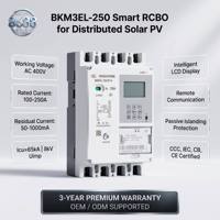 Disjoncteur différentiel intelligent BKM3EL-250 avec écran LCD et communication à distance pour systèmes solaires photovoltaïques distribués (CCC CE IEC)