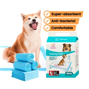 Pads d'entraînement pour chiots OEM en gros, anti-fuites, 5 couches, écologiques, jetables, pour animaux de compagnie - Product Image 1