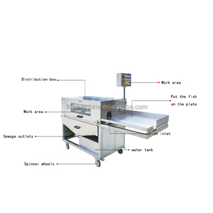Línea de Procesamiento de Pescado Comercial XINBO para Trucha y Salmón, Máquina Automática de Limpieza y Desescamado de Pescado, 60 Peces/Min, 380V - Product Image 1