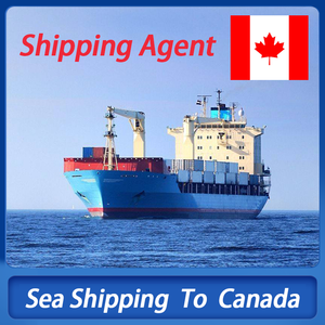 LCL mare <span class=keywords><strong>Shipping</strong></span> FOB DDU dddp servizio di consegna camion cina spedizione in <span class=keywords><strong>Canada</strong></span> con servizio di deposito magazzino - Product Image 6