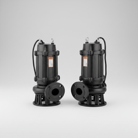 Pompe submersible pour eaux usées de type WQ certifiée 380V avec interrupteur à flotteur, prix usine, pour stations de relevage d'eaux usées industrielles et de surpression de puisards
