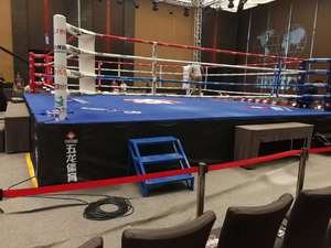 WOLON High Quality Different Size Square Boxing Wrestling Ring 20 ft pro wrestling ring boxing ring