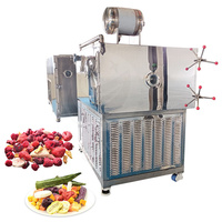 ORME Liofilizador De Laboratorio Precio Séchoir à sublimation industriel lyophilisateur de fruits sous vide