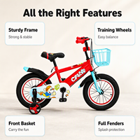 Bicicletta per Bambini 12'' 14'' 16'' 18'' Rossa Blu Rosa Grigia per Ragazzi e Ragazze Sport all'Aperto con Ruote Staccabili