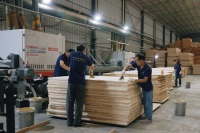 Contreplaqué en placage de bois de caoutchouc naturel 3mm-25mm avec âme en peuplier pour la décoration de table