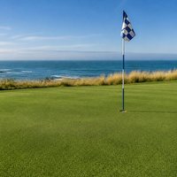 Gazon artificiel intérieur et extérieur, mini-golf, tapis de gazon vert, gazon de golf