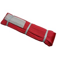2 Ton kaldırma Sling ağır Polyester Web Sling vinç/vinç için 2 T yük kapasitesi kemer kayışı TUV CE GS ile kaldırma için