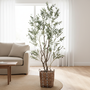 Albero di Ulivo Artificiale all'Ingrosso dalla Cina per Decorazione di Farmacie, Drogherie e Cliniche, Albero Verde Artificiale - Product Image 4