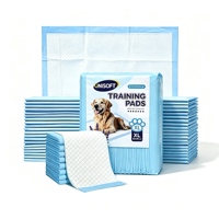 Grossiste de tapis pour animaux de compagnie OEM, logo personnalisé, matériau PE jetable, anti-fuite, tapis d'apprentissage extra large pour chiots et chiens