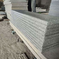 Escaliers en granit gris foncé à surface flammée de conception moderne avec un style élégant et une utilisation en extérieur