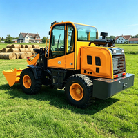 Livraison Gratuite Chargeuse sur Pneus Diesel, Machines de Construction, Mini-chargeuse sur Pneus, Chargeuse Multifonctionnelle pour Jardin