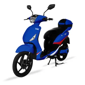 Top Selling Eu Off Road Motorcycles 1000w 1500w Powerful Electric Scooters With Long Ranger Electric Mopeds With Pedal