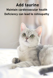 Dán Lysine giúp giảm bớt sự suy giảm miễn dịch liên quan đến viêm mũi họng do virus - Product Image 4