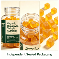 Gummies SYC BIO Shilajit de l'Himalaya 60 unités avec Ashwagandha et Acide Fulvique – Formule Végétale – Complément Quotidien pour la Vitalité au Quotidien