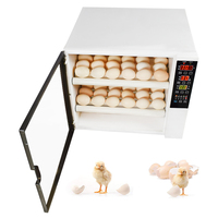 Mini couveuse automatique pour 60 œufs, machine économique en énergie, de haute qualité