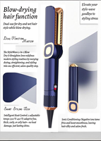 Multi Styler 2 in 1 Airstyler Wet to Dry Plancha Cabello Airflow Pengering Rambut Portable Catokan Pelurus Rambut Dengan Udara