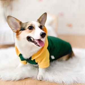 Vêtements pour chiens <span class=keywords><strong>Corgi</strong></span>-Sweat-shirt léger pour les races petites à moyennes, parfait pour le printemps et l'automne - Product Image 3