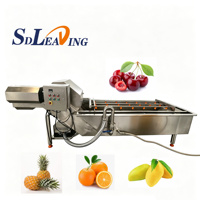 Continue roestvrijstalen fruit- en groentewasmachine met belletjeswasmogelijkheid voor aardappel, wortel, cassave, appel, sinaasappel en voedselverwerking