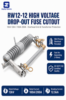 Fusible de coupure 24 kV 630 A HRW11-10 avec isolateur composite 50 Hz pour protection de ligne aérienne montée sur poteau de distribution extérieure