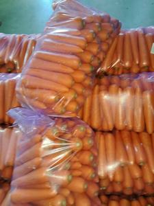 Yeni mahsul temiz havuç büyük boy taze havuç 50lbs/plastik torba çin'den - Product Image 2