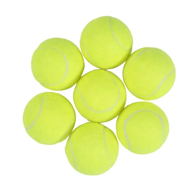 Baru 12 dalam Pak kualitas tinggi Set tenis kantong grosir penjualan laris bola tenis untuk anjing