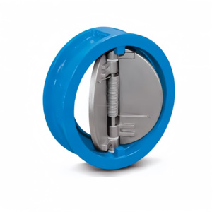 One-way Dual <strong>Disc</strong> <strong>Spring</strong> Check <strong>Valve</strong> Full/Semi Coat With EPDM/NBR/PTFE Seal 2 Inch <strong>for</strong> Oil DIN/BS Standard No Leakage - Product Image 2