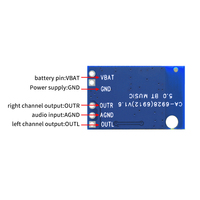 Module d'amplificateur audio numérique linéaire miniature CA-6912, double canal 3W pour BT 5.1, amplificateur de haut-parleur compact 12V