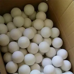 Usinagem CNC Bola grande personalizada de nylon POM PTFE POM PE bola de plástico para tela vibratória