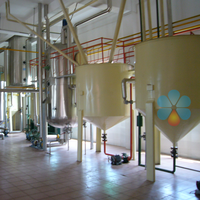 Machine de raffinage d'huile comestible de grande capacité 1-1000tpd, ligne de production de raffinage d'huile brute de tournesol/arachide/sésame/son de riz