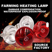 Lampe chauffante infrarouge épaissie pour l'élevage, neuve, pour couveuse d'animaux (poulets, porcs, etc.)