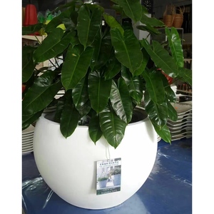 <span class=keywords><strong>Fioriera</strong></span> per alberi e fiori <span class=keywords><strong>in</strong></span> <span class=keywords><strong>cemento</strong></span> tondo per esterni all'ingrosso su misura <span class=keywords><strong>in</strong></span> fabbrica - Product Image 1