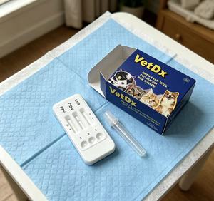 Home Use Best Vet Veterinarian Quick Test EHR/<strong>ANA</strong>/CHW Test Kit Dog Rapid Test Veterinary Diagnostic Equipment - Product Image 2