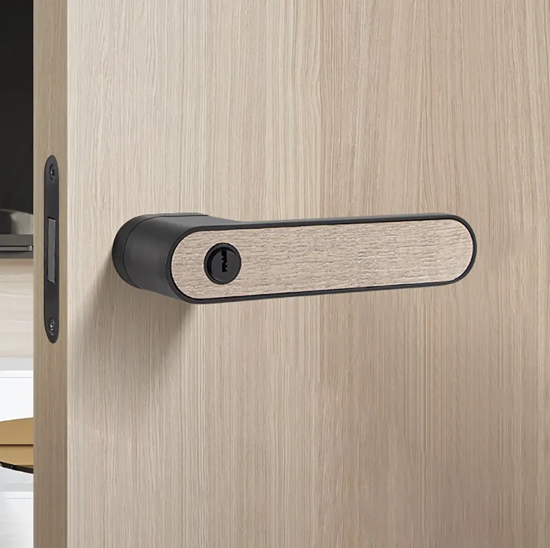Minimalist Silent Ecological Door Lever Handle Italian Modern Indoor Bedroom Door Lock Handle