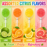 Sucettes aux fruits en tranches, bonbons durs, saveurs d'agrumes assorties (citron vert, orange, citron, pamplemousse), emballées individuellement, vente en gros
