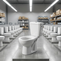 WC complet en céramique deux pièces avec réservoir à motif, abattant en plastique et raccords LLC