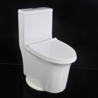 Toilette moderne en céramique monobloc à double chasse d'eau avec drainage à siphon en S pour la maison ou l'hôtel