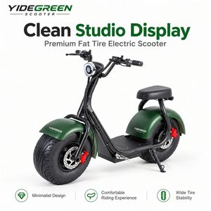 Brasilien Überseelager R1 Elektrischer Moped-Roller Großhandelslieferant 1000W 32km/h 200kg Maximallast - Product Image 3