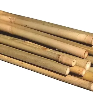 Cheap price natural bamboo poles 3m for Plant Support