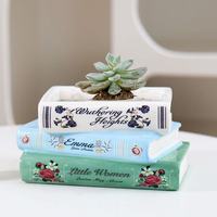 Vente en gros de pots à succulentes en céramique en forme de livre, style nordique, avec trou de drainage, ornement de bureau bohème