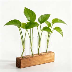 Support de table en bois massif pour tubes à essai, décoration de table, support pour plantes et fleurs avec tubes en verre transparent, pot hydroponique pour verdure et fleurs - Product Image 6