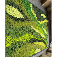 Panel de Arte Artificial Personalizado con Musgo Natural, Decoración de Pared para Hogar, Hotel, Jardín