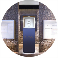 Étalage de bijoux en acier inoxydable de luxe moderne avec éclairage LED, présentoir de bijoux en métal, vitrine de magasin de détail, centre commercial, salle d'exposition