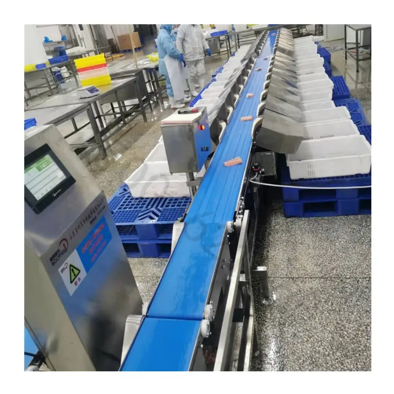 Linea di produzione automatica di pesce gamberetti macchina per la pulizia e la classificazione dei pesci classificatore di smistamento