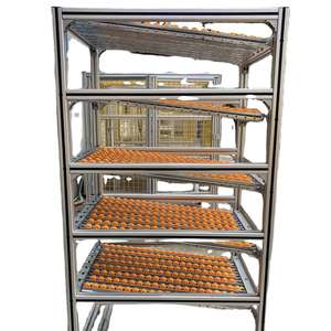 Эффективный автоматический гравитационный роликовый толкатель, стойка, скользящая полка, алюминиевые гравитационные картонные полки - Product Image 1