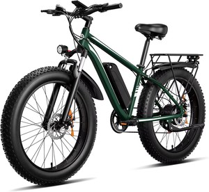 Moteur de moyeu arrière de tourisme haut de gamme, pneu gras, frein à jante à 7 vitesses, vélo électrique adulte, batterie au lithium numérique électronique 1000W - Product Image 1