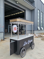 Chariot mobile à glace, café et slush, chariot à glace à pousser à la main