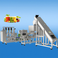 Complete productielijn voor ananassap, industriële drankenverwerkingsmachines, voedselveilige roestvrijstalen 304-motor