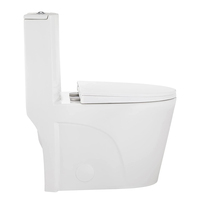 Ensemble de toilettes et de lavabos en céramique chinoise moderne à double chasse Homedec pour salle de bain