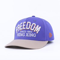 Gorra de Béisbol de Perfil Alto con Logotipo Bordado en 3D Personalizado al por Mayor, Estilo Estructurado de 5 Paneles, Diseño de Dos Tonos, Estilo Vintage Urbano